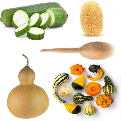 Sunutri Gourd Birdhouse Shell in packaging, showcasing a sturdy exterior for birdhouse projects