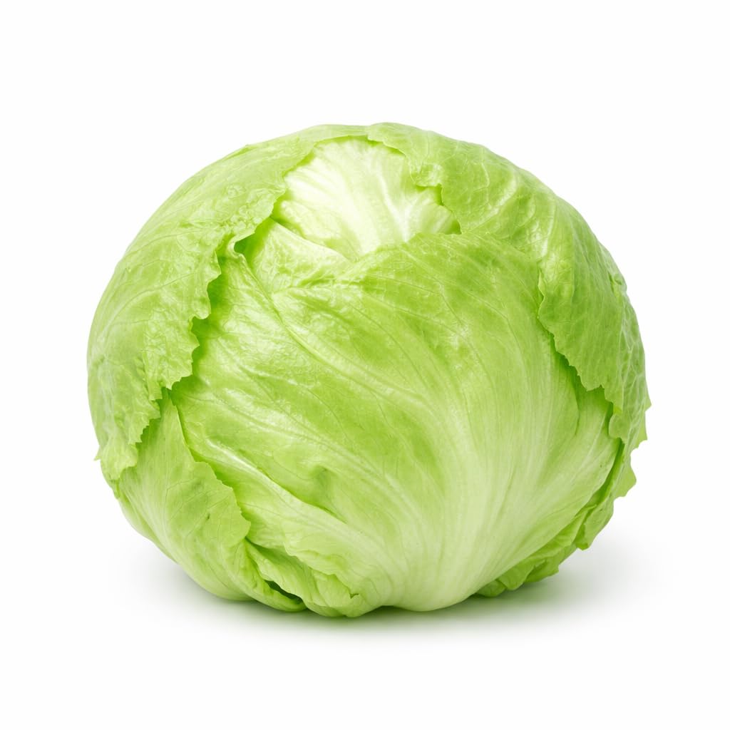 Sunutri Seeds crisphead iceberg head shows compact form for small gardens and easy harvesting.