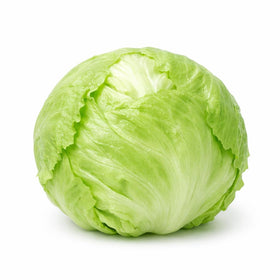 Sunutri Seeds crisphead iceberg head shows compact form for small gardens and easy harvesting.