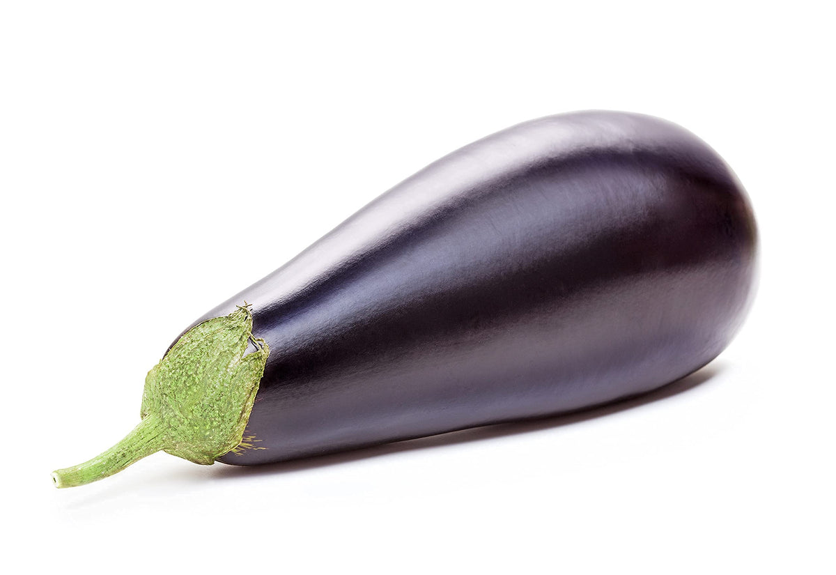 Sunutri Seeds Black Beauty eggplant seeds in packet for home gardening