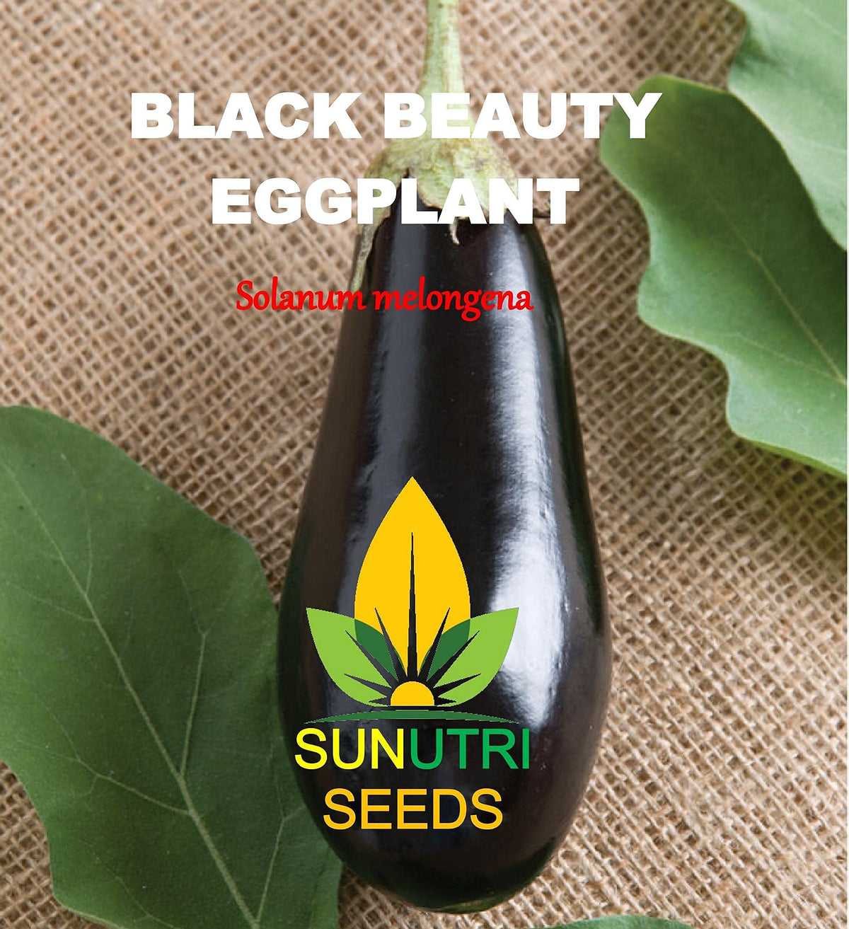 Sunutri Seeds heirloom eggplant seeds offering reliable germination
