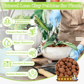 Sunwinx hydroton clay pebbles 4-16mm promote root oxygenation and prevent waterlogging.
