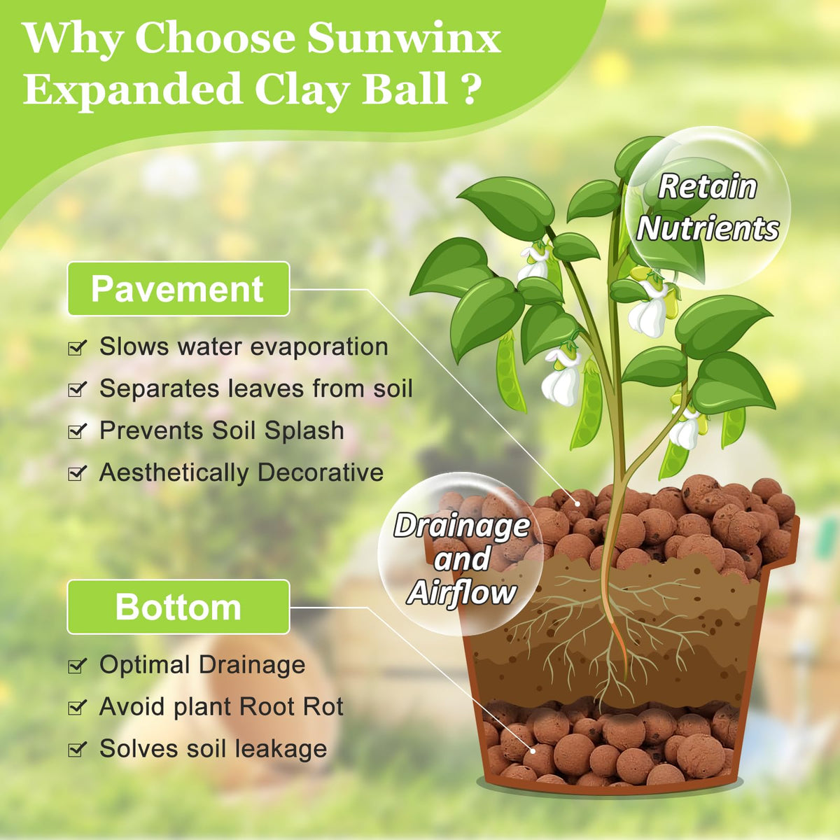 Sunwinx orchid leca substrate supports orchid roots with steady moisture.