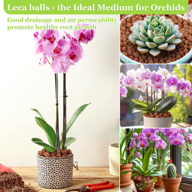 Sunwinx reusable leca pebbles are easy to clean and reuse.