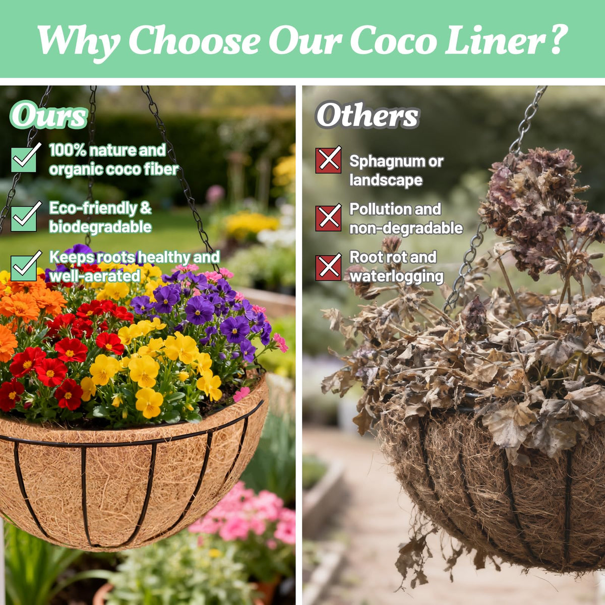 Sunwinx liner in planter displays lush blooms with minimal effort.