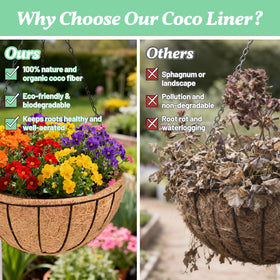 Sunwinx liner in planter displays lush blooms with minimal effort.