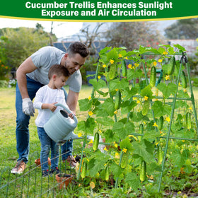 Sunwinx versatile trellis supports cucumbers, peas, tomatoes and more.