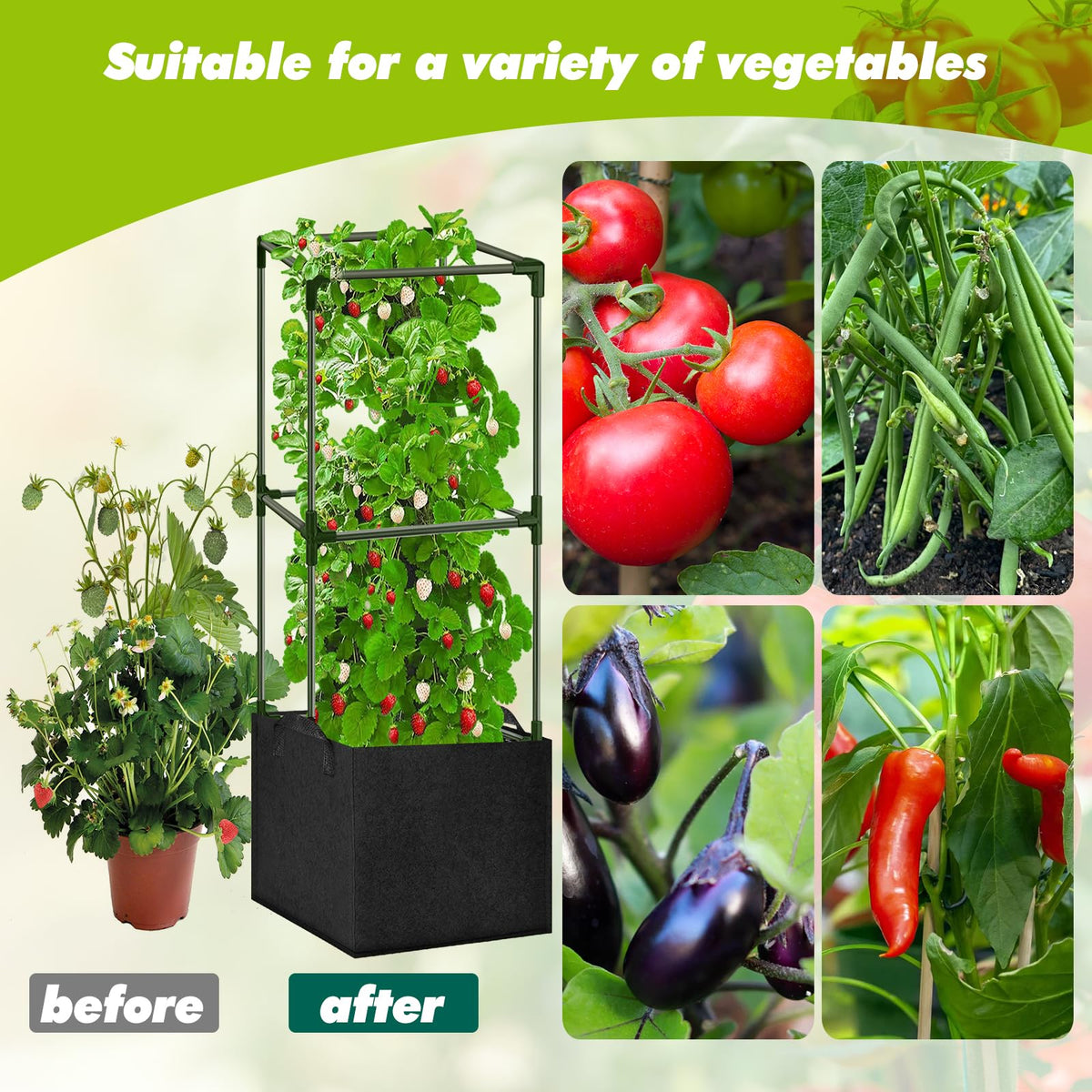 SUNXIZ garden setup demonstrates climbing support for vines.