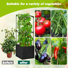 SUNXIZ garden setup demonstrates climbing support for vines.