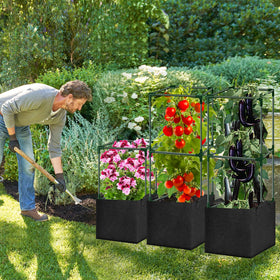 SUNXIZ multi-use frame supports cucumbers and other climbers.