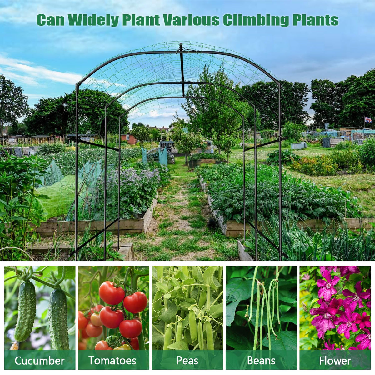 SUNYRISY garden arch trellis ideal for cucumber and tomato vines near raised beds.