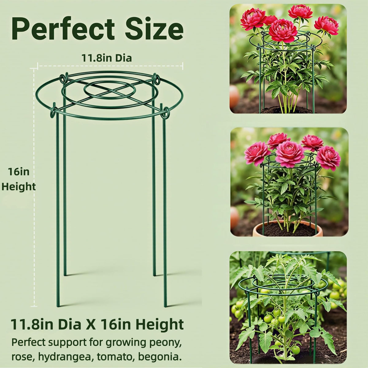 SUOWEEI grow-through peony cage legs inserted into soil for stability