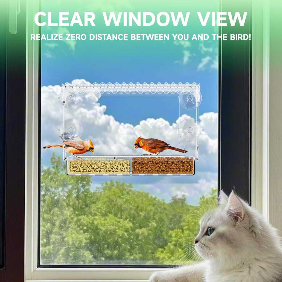 SuoXing Window Bird Feeder ultra-clear acrylic for near-invisible viewing.