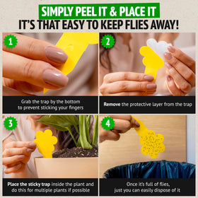 Compact indoor solution ideal for kitchens, pantries, living rooms, and greenhouses.