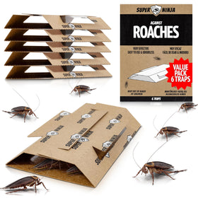 Super Ninja roach traps indoor pack for safe, discreet home use.