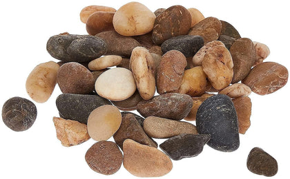 Super Z Outlet mini assorted stone pebbles for garden beds and crafts.