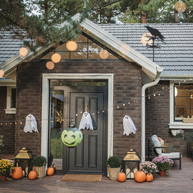 SUPERDANT decorative crow vane, Halloween-friendly accent for farmhouse exteriors.