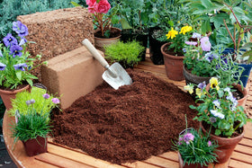 SuperMoss Coco Mulch texture closeup emphasizing moisture retention for plants.
