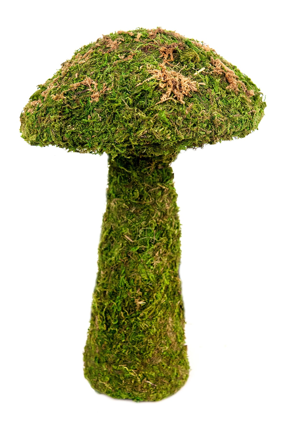 SuperMoss Small Mushroom Deco Moss 11in adds whimsy and a charming centerpiece to gardens.