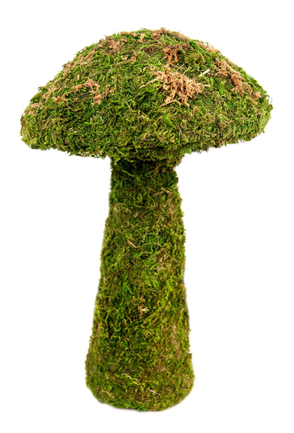 SuperMoss Small Mushroom Deco Moss 11in adds whimsy and a charming centerpiece to gardens.