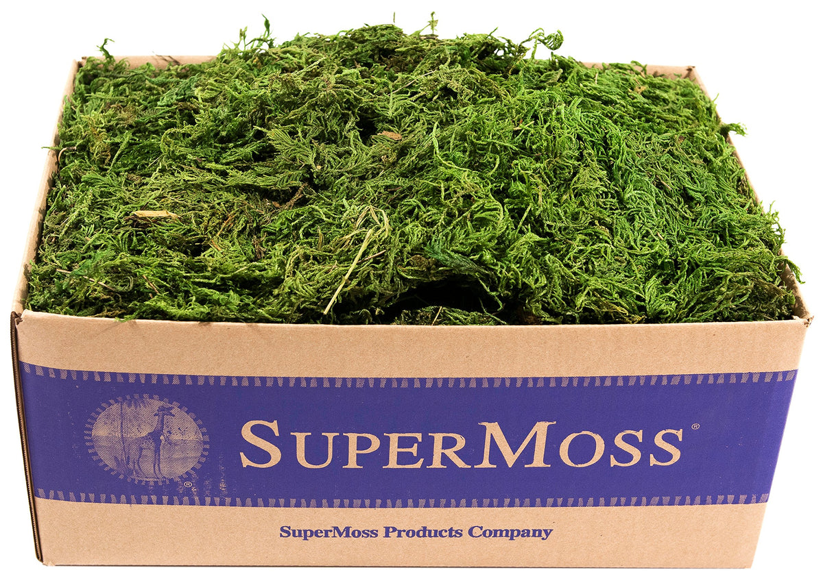 SuperMoss forest moss preserved sheets highlight durable texture for long-lasting display.
