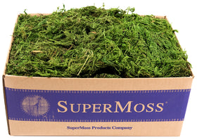 SuperMoss forest moss preserved sheets highlight durable texture for long-lasting display.