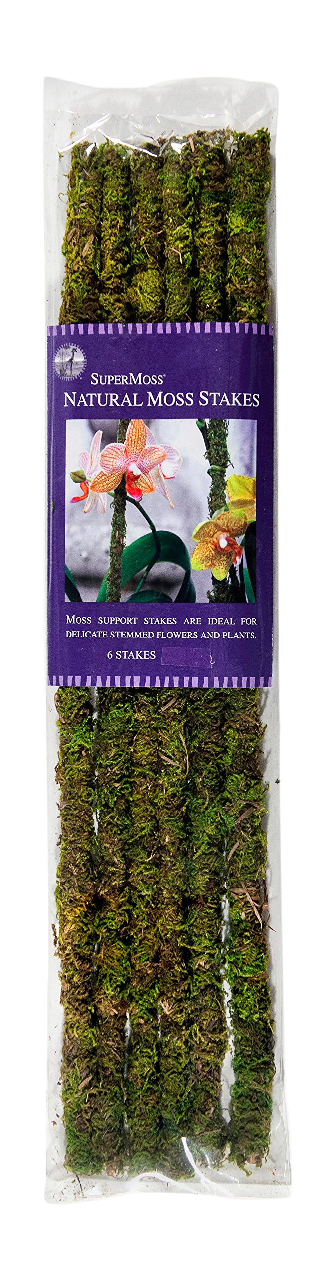 SuperMoss 18-inch moss stakes in green for orchid support indoors