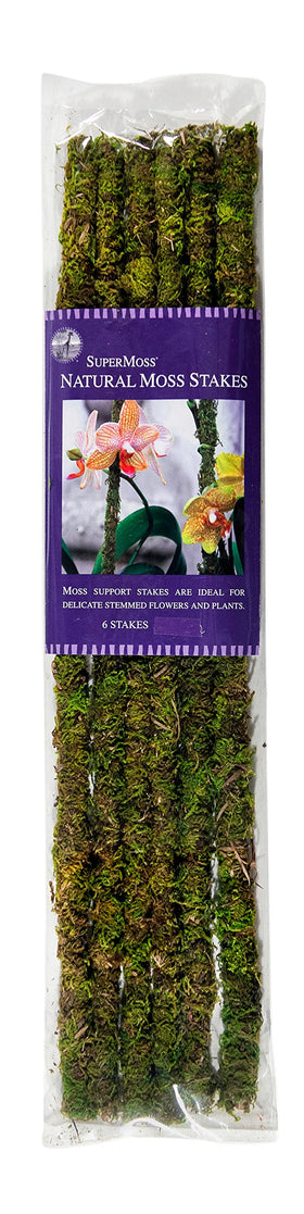 SuperMoss 18-inch moss stakes in green for orchid support indoors