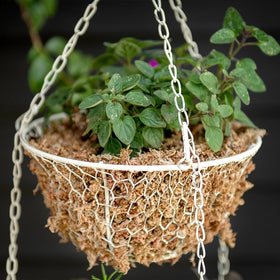 SuperMoss Orchid Sphagnum moss for soil conditioning and topping potted plants.