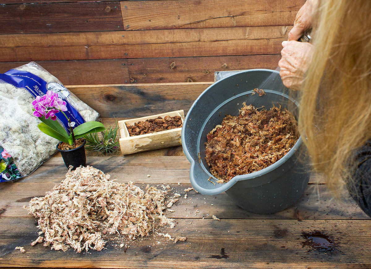 SuperMoss Orchid Sphagnum moss vertical-hanging-basket liner for even moisture.