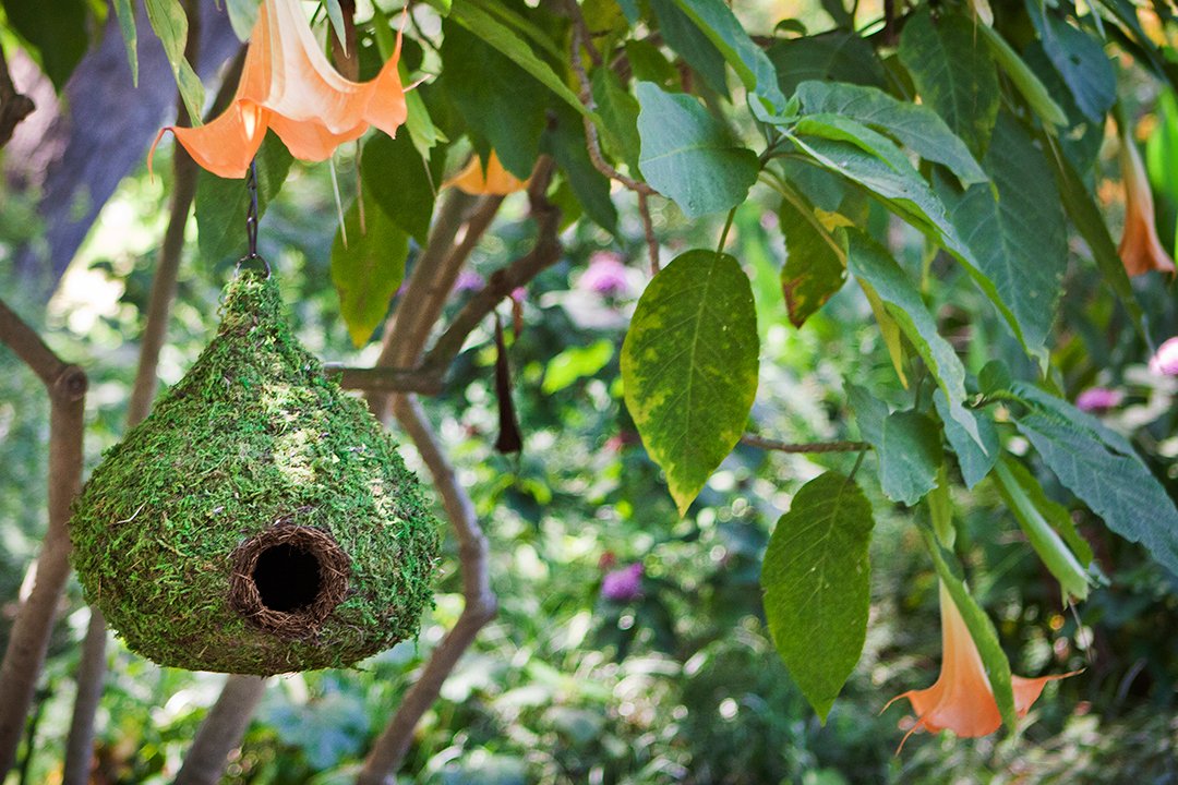 Close-up of SuperMoss Raindrop Birdhouse highlighting woven texture and nesting material.