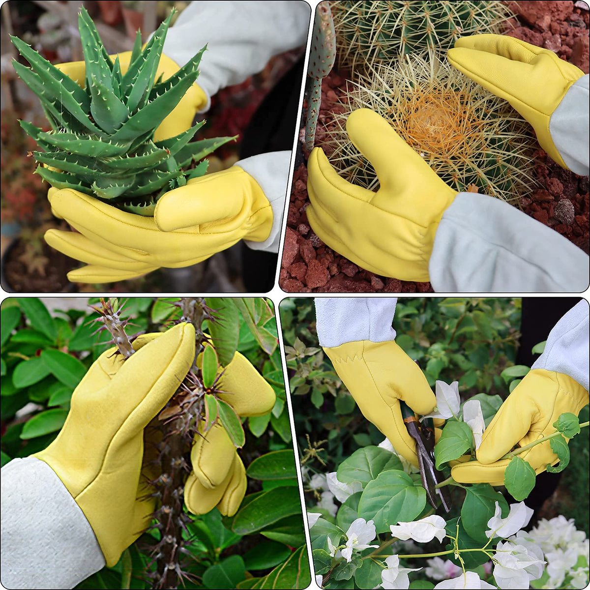 Supersfel thornproof leather gloves guard hands during hedge trimming.