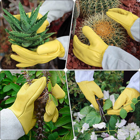 Supersfel thornproof leather gloves guard hands during hedge trimming.