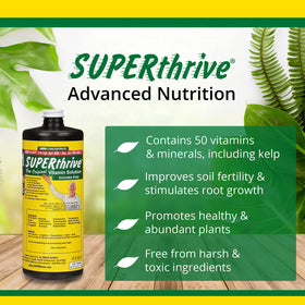 SUPERthrive label close-up highlighting kelp blend and vitamins for plant health