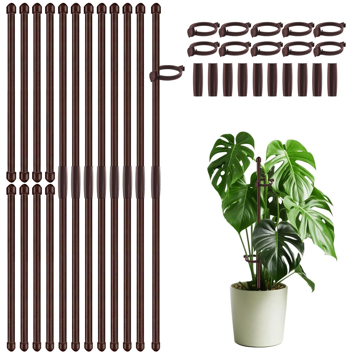 SupKing 30-piece plant stakes support upright orchids and tomatoes.