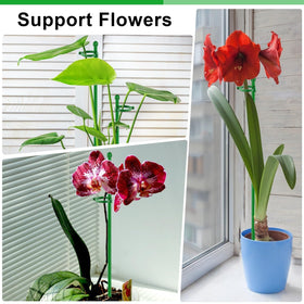 SupKing indoor-outdoor plant support suitable for vegetables, flowers, and herbs.