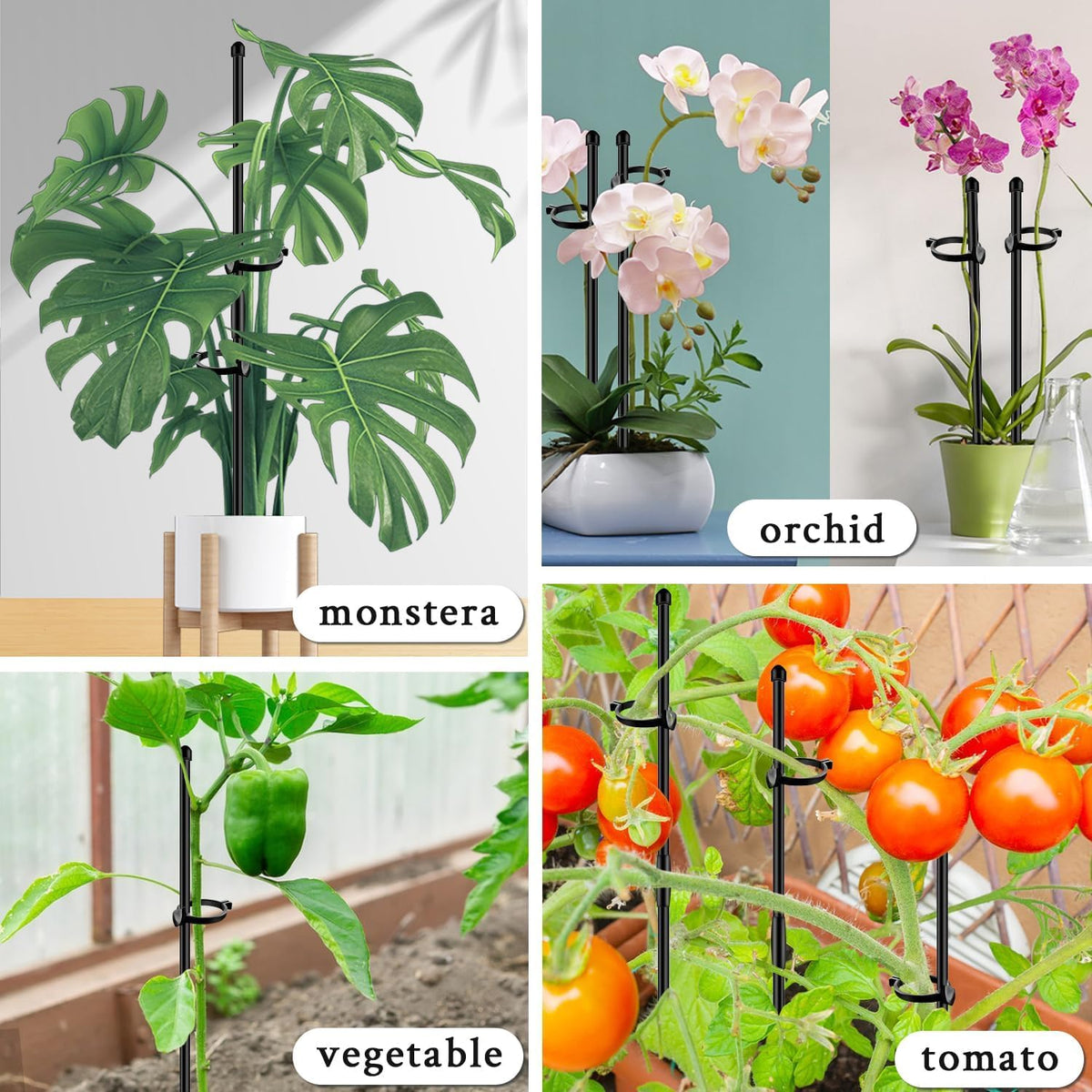 SupKing indoor outdoor plant stakes for garden and pots