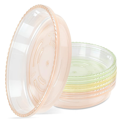 SupKing 10-inch plant saucers in a multi-color pack beneath vibrant pots protect surfaces.
