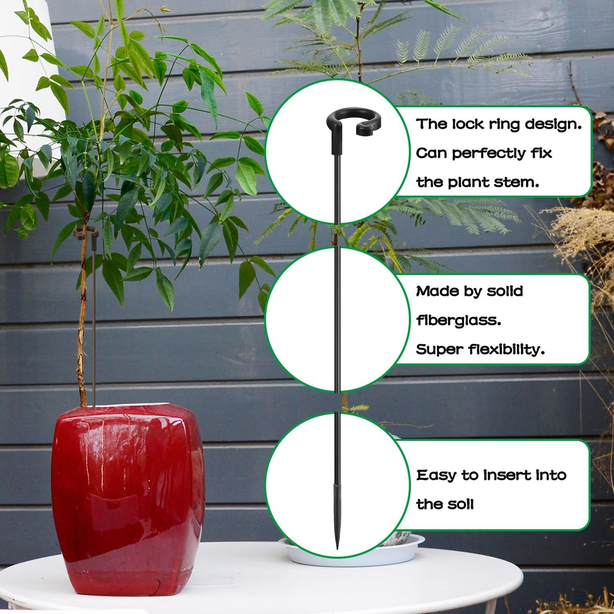 SupKing plant stakes with clips keeping stems secure and tidy