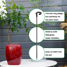 SupKing plant stakes with clips keeping stems secure and tidy