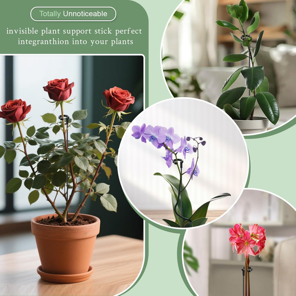SupKing smooth-surface stakes protect delicate stems during use