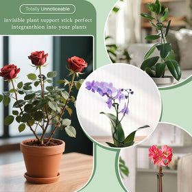SupKing smooth-surface stakes protect delicate stems during use