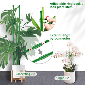 SupKing 20 ties and clips secure stems and guide growth on gardens and pots.