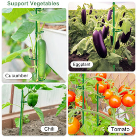 SupKing supports tomatoes, roses, and orchids with reliable vertical growth aid.