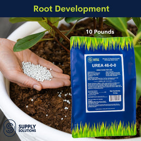 Supply Solutions Urea 46-0-0 strengthens stems and enhances foliage health