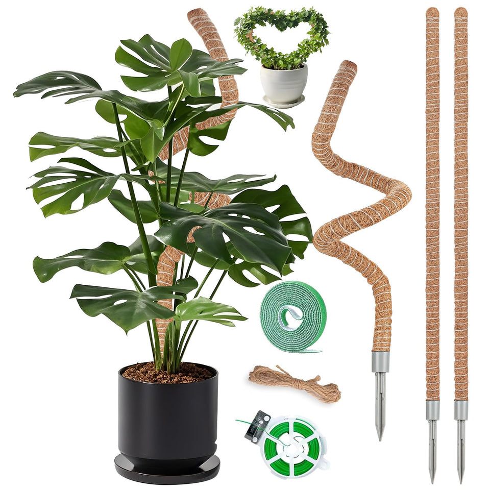 Suprock 3-pack moss poles for Monstera provide vertical growth support