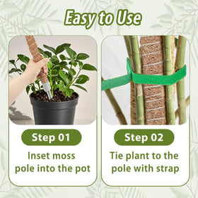 Includes jute rope and ties for quick installation and training