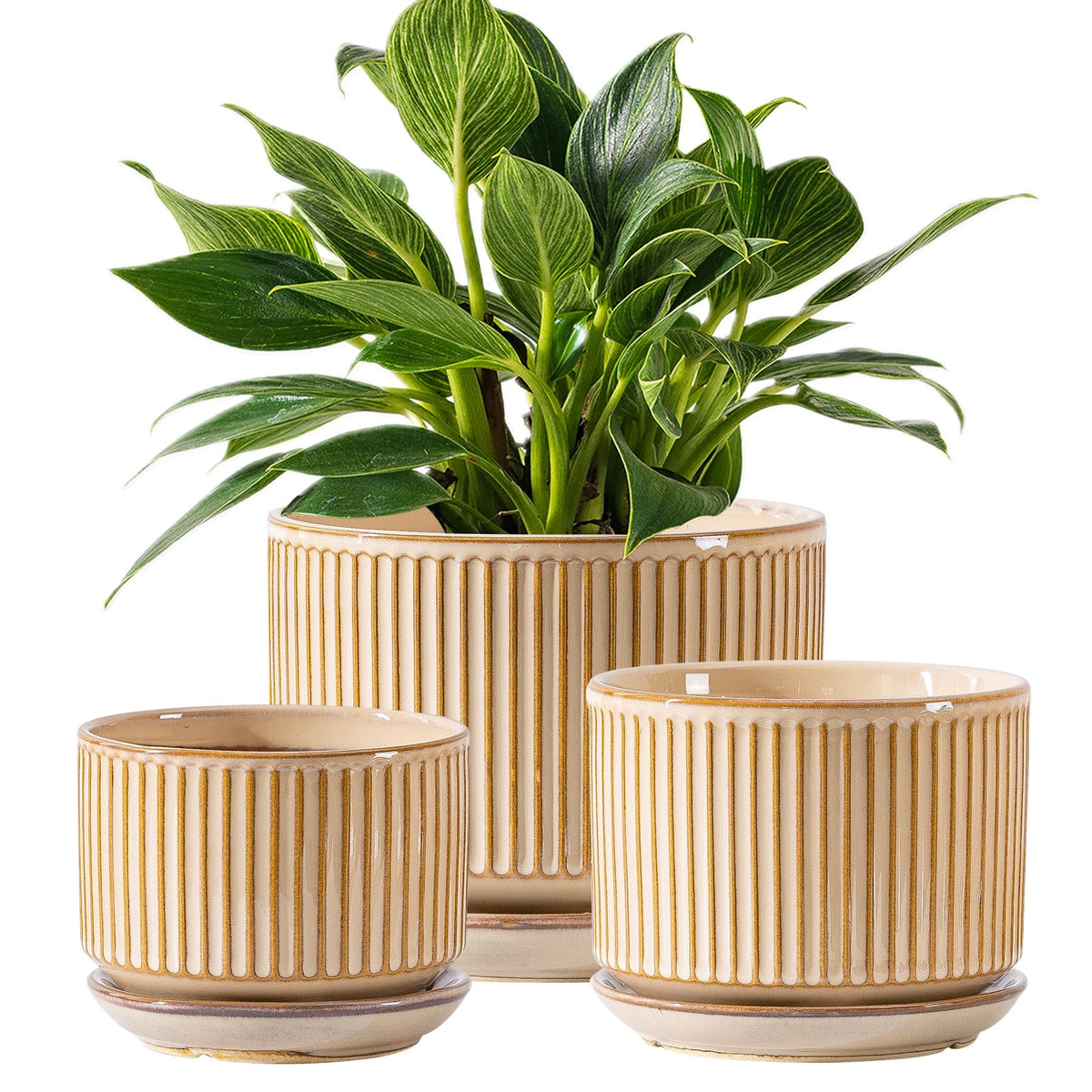 SURE YUESI beige striped ceramic pot close-up with glossy glaze for indoor display