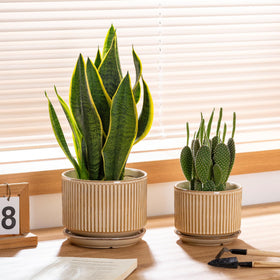SURE YUESI beige striped planters used on outdoor balcony
