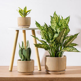 SURE YUESI beige striped planter with mesh pads for soil retention